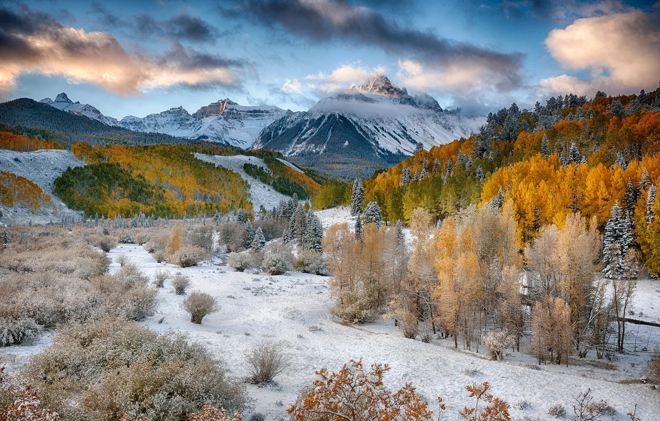 Фото обои осень, лес, снег, деревья, горы, долина
