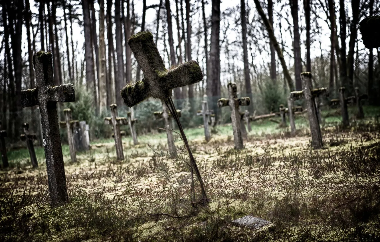 Фото обои фон, кресты, кладбище