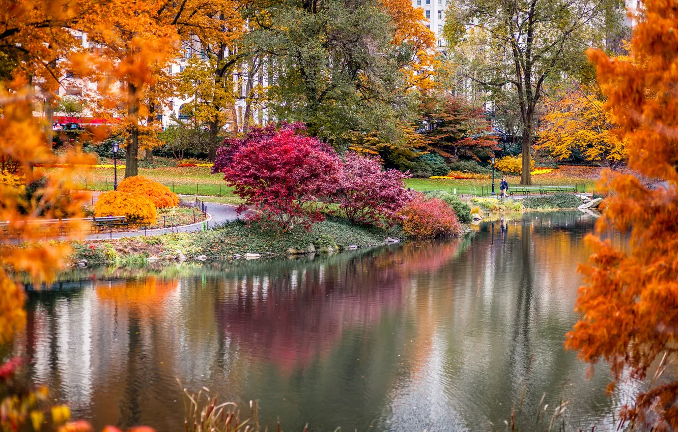 Фото обои осень, город, парк, небоскребы, USA, США, америка, Нью Йорк