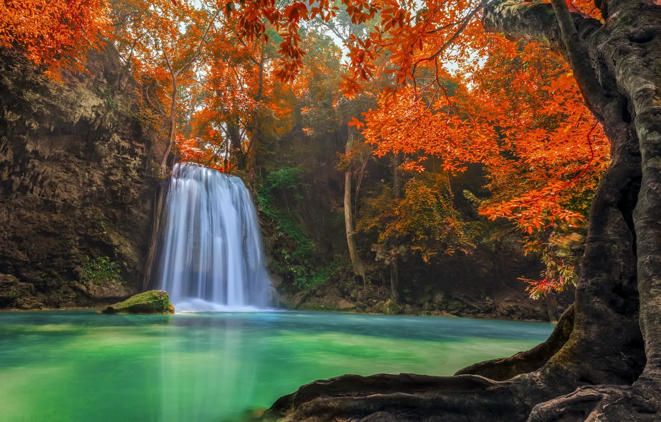 Фото обои forest, Thailand, landscape, jungle, Erawan Waterfall