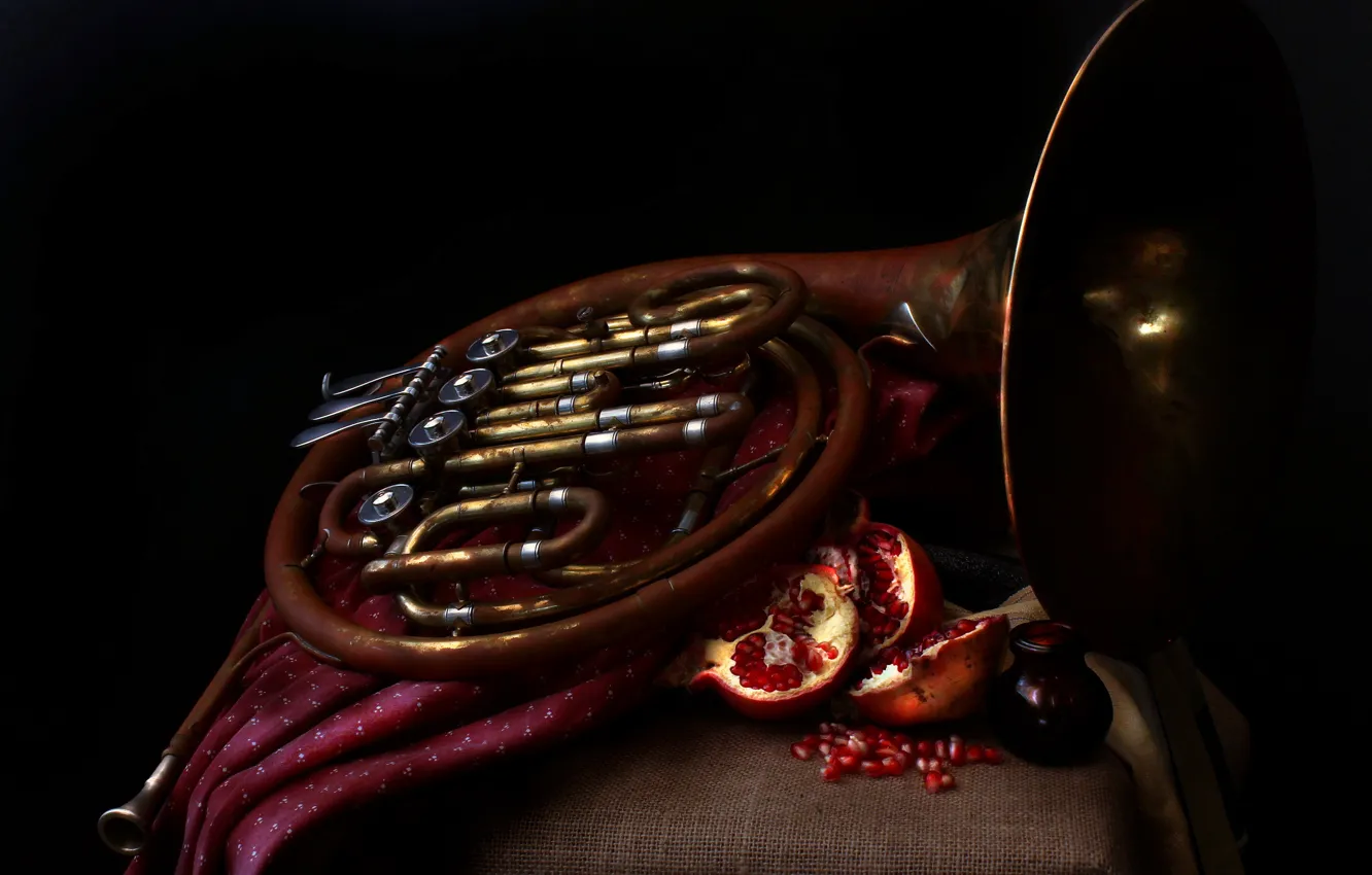 Фото обои музыка, French horn, Pomegranates