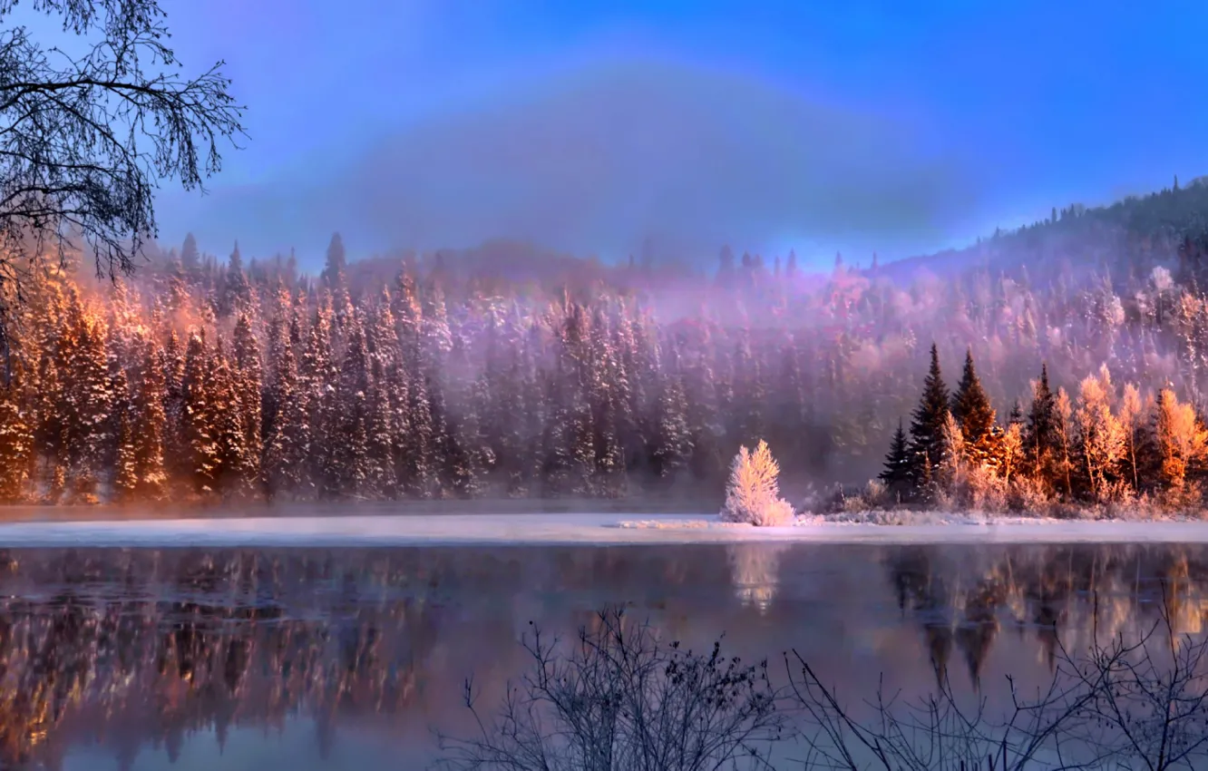 Фото обои зима, лес, снег, деревья, пейзаж, природа, туман, озеро