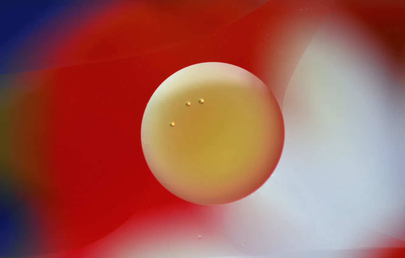Фото обои вода, цвет, масло, круг, воздух, объем, пузырек