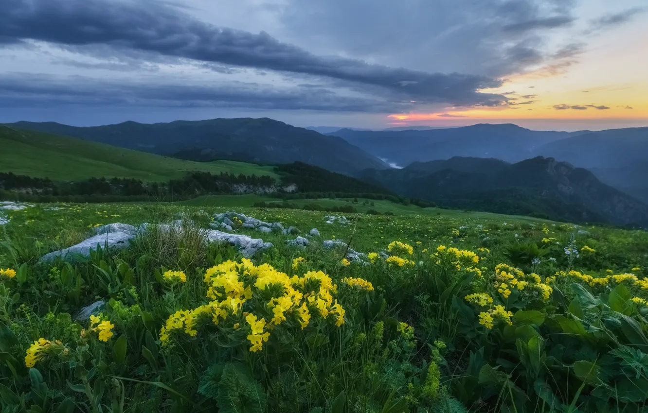 Фото обои трава, пейзаж, цветы, горы, природа, камни, утро, Кавказ