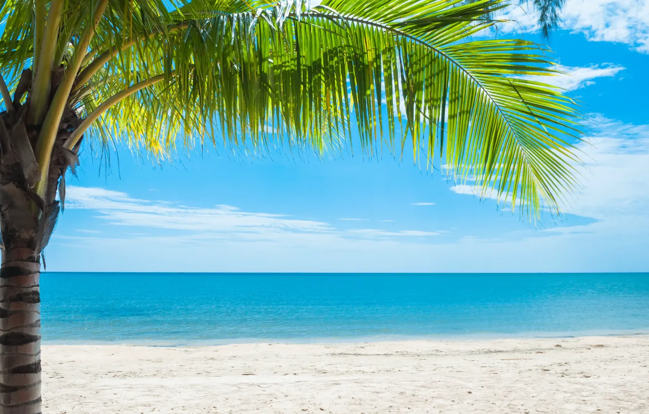 Фото обои песок, море, волны, пляж, лето, солнце, пальмы, summer