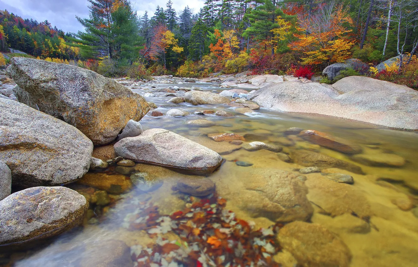Фото обои осень, лес, небо, деревья, горы, река, камни
