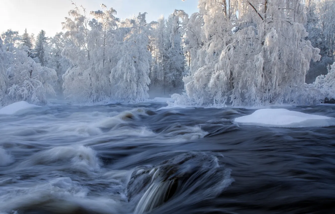 Фото обои снег, природа, река, поток, зима.деревья