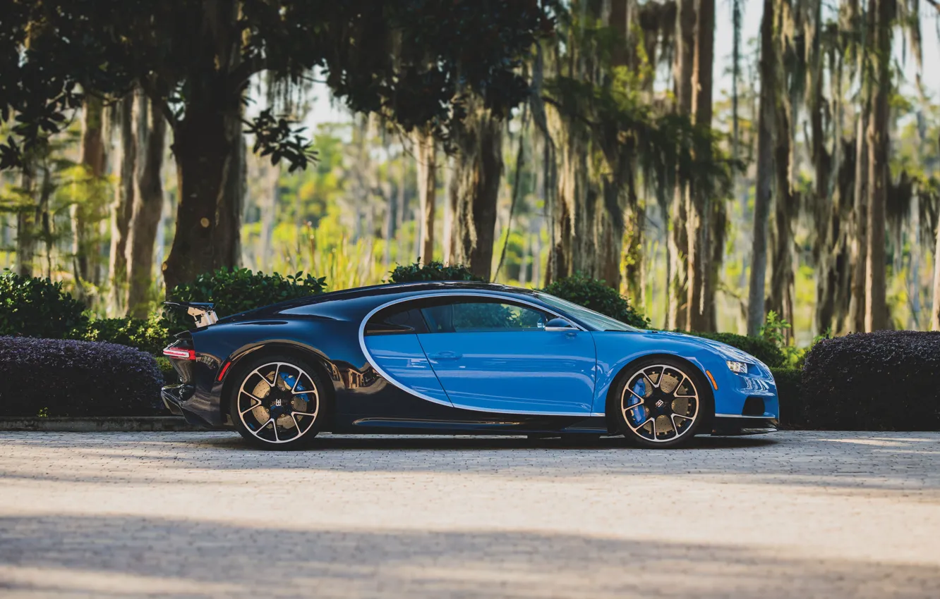 Фото обои Bugatti, Chiron, Bugatti Chiron
