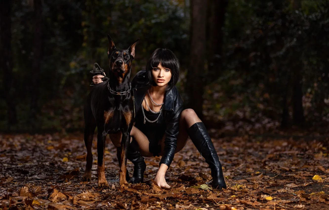 Фото обои girl, beautiful, model, brunette, boots, doberman