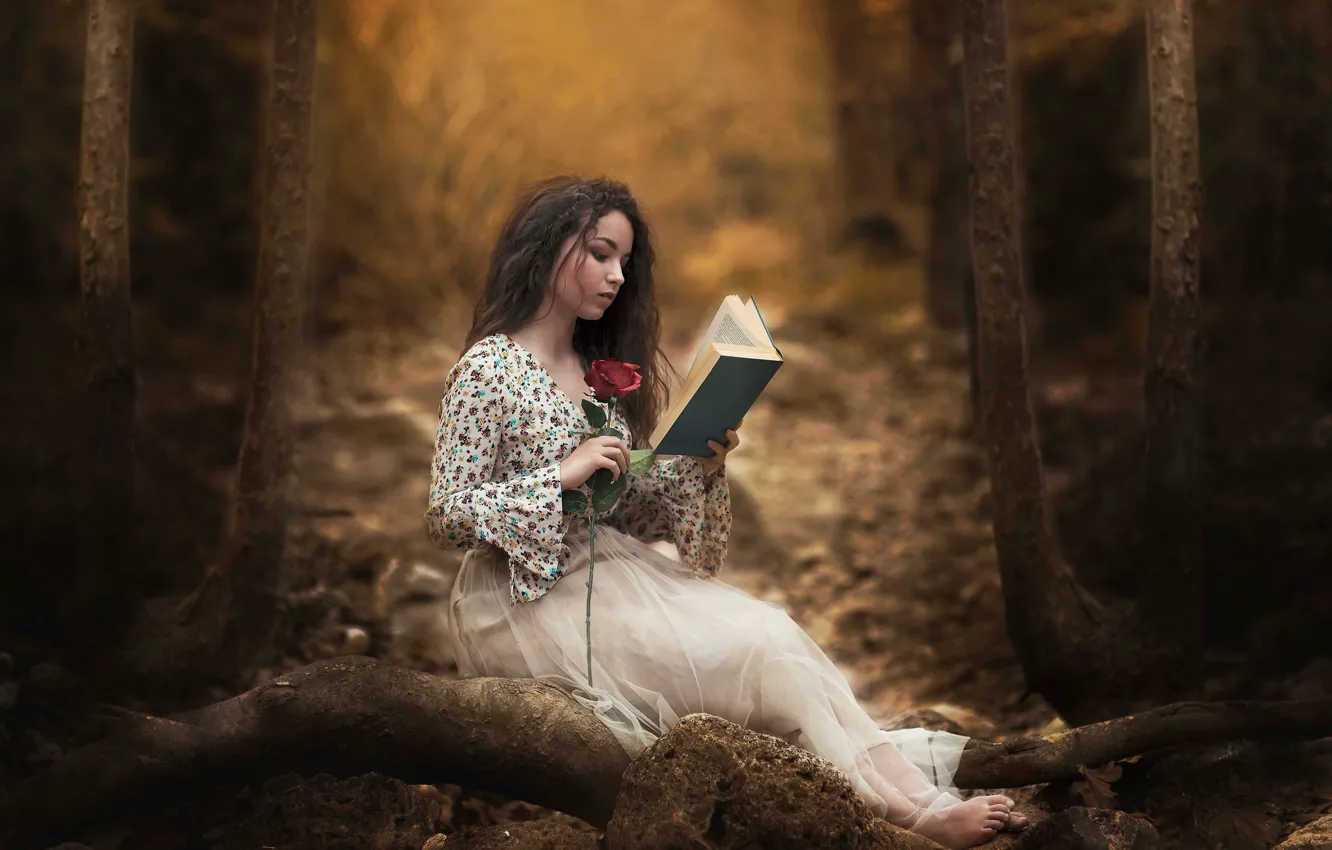 Фото обои лес, девушка, роза, книга, чтение, Carmen Gabaldon