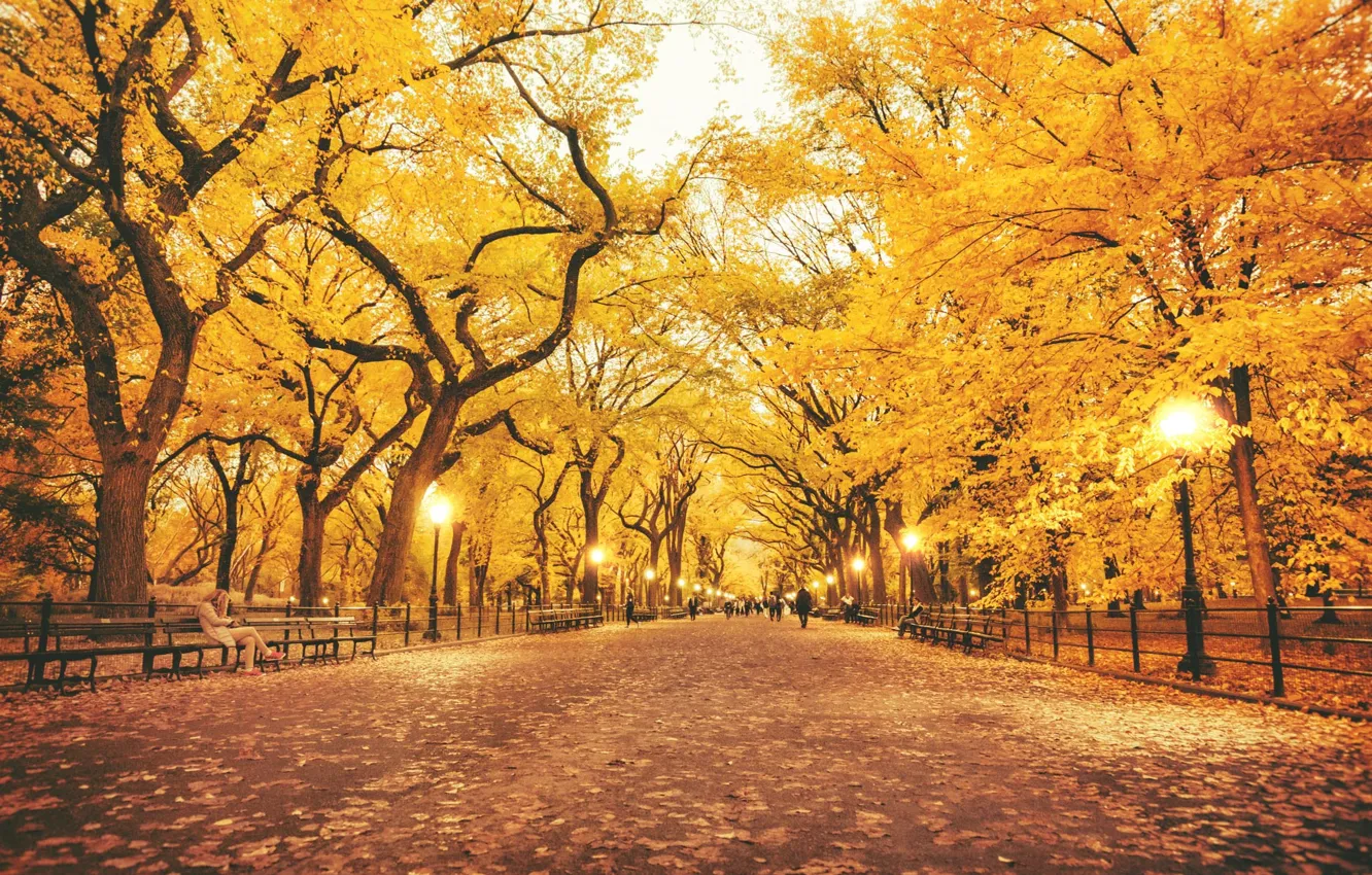 Фото обои осень, листья, деревья, парк, фонари, фонарные столбы, скамейки люди