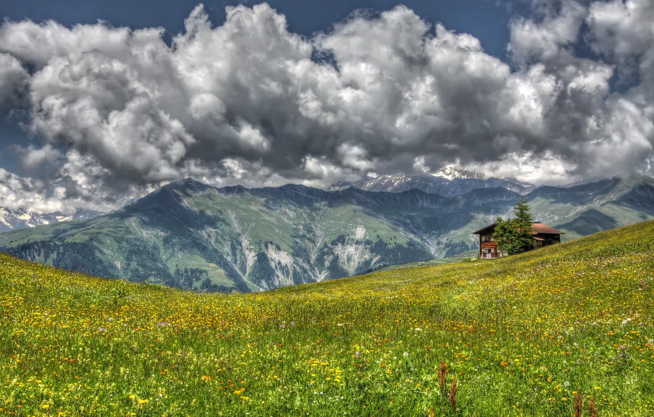 Фото обои трава, пейзаж, цветы, горы, дом, луг