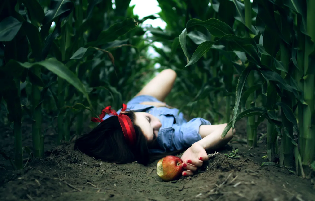 Фото обои поле, девушка, фон, земля, обои, яблоко