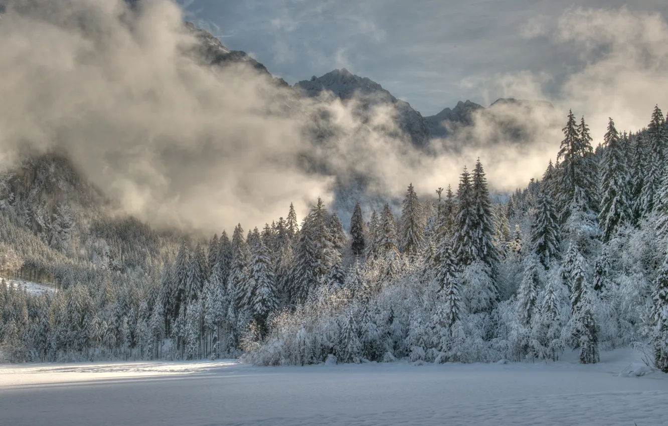 Фото обои зима, лес, снег, деревья, горы, следы, туман, Природа