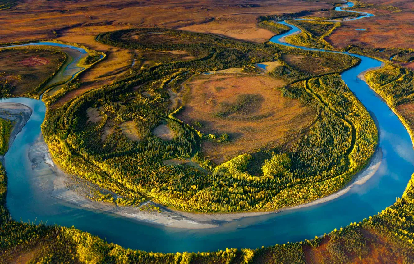 Фото обои деревья, пейзаж, река, Аляска, США, заповедник, Arctic National Park