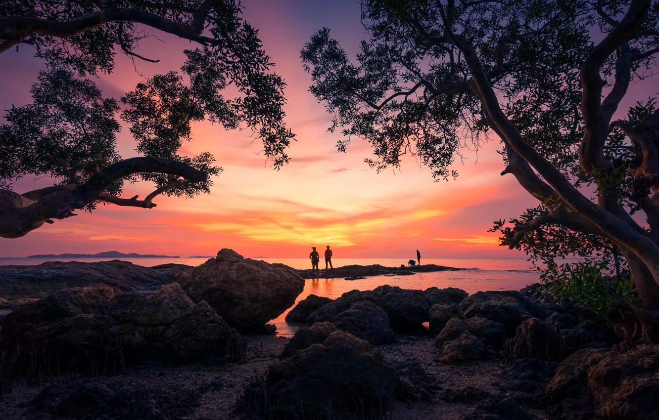 Фото обои деревья, закат, силуэт, пара