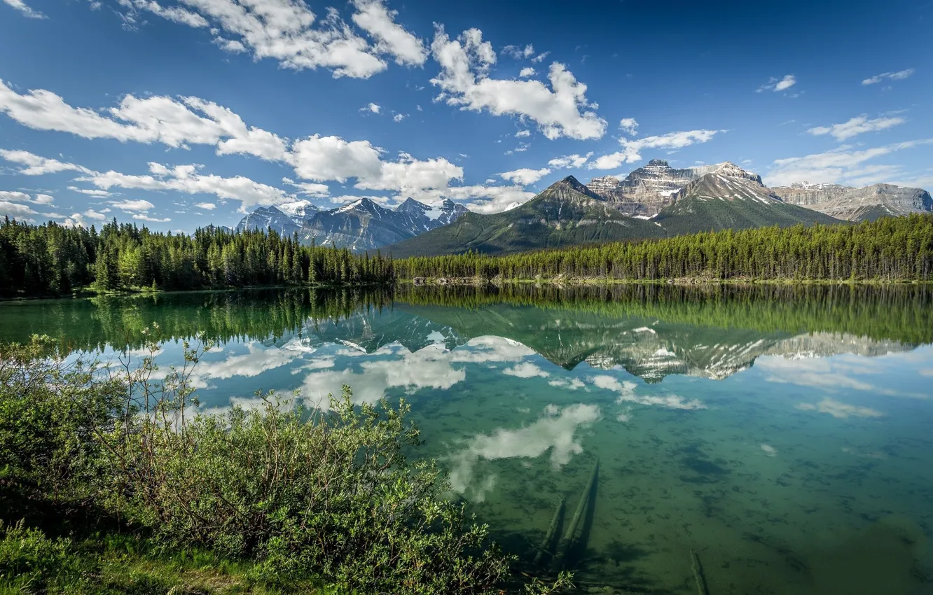 Фото обои озеро, отражение, гора