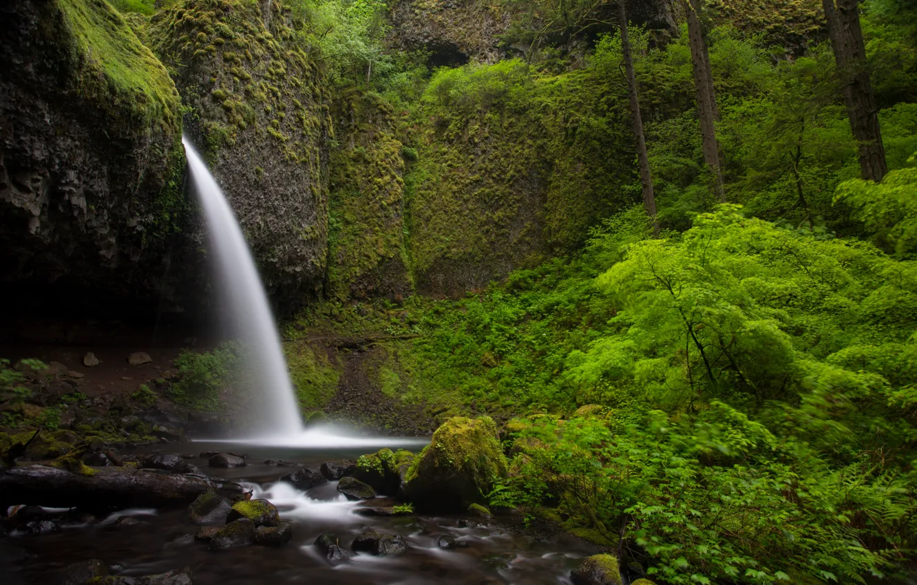 Фото обои природа, камни, скалы, green, водопад, растения, nature, Waterfalls