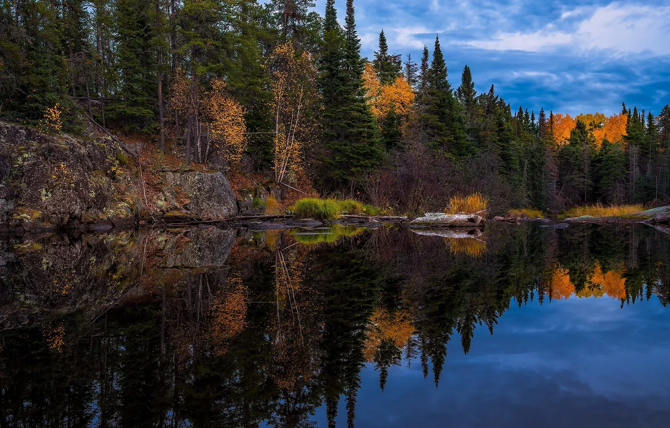 Фото обои осень, деревья, природа, отражение, река