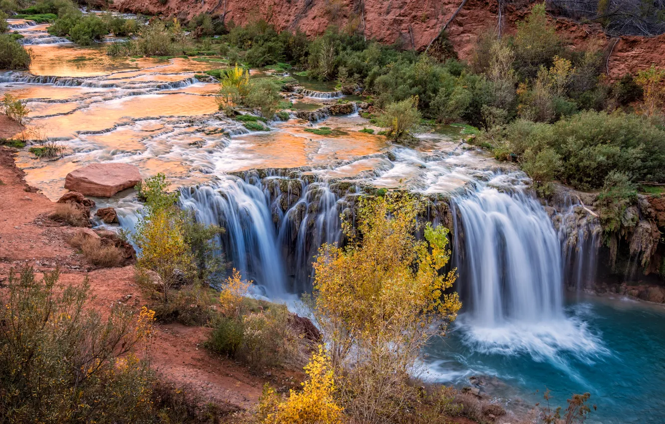 Фото обои ручей, камни, водопад, США, кусты, Arizona, Grand Canyon, Havasupai