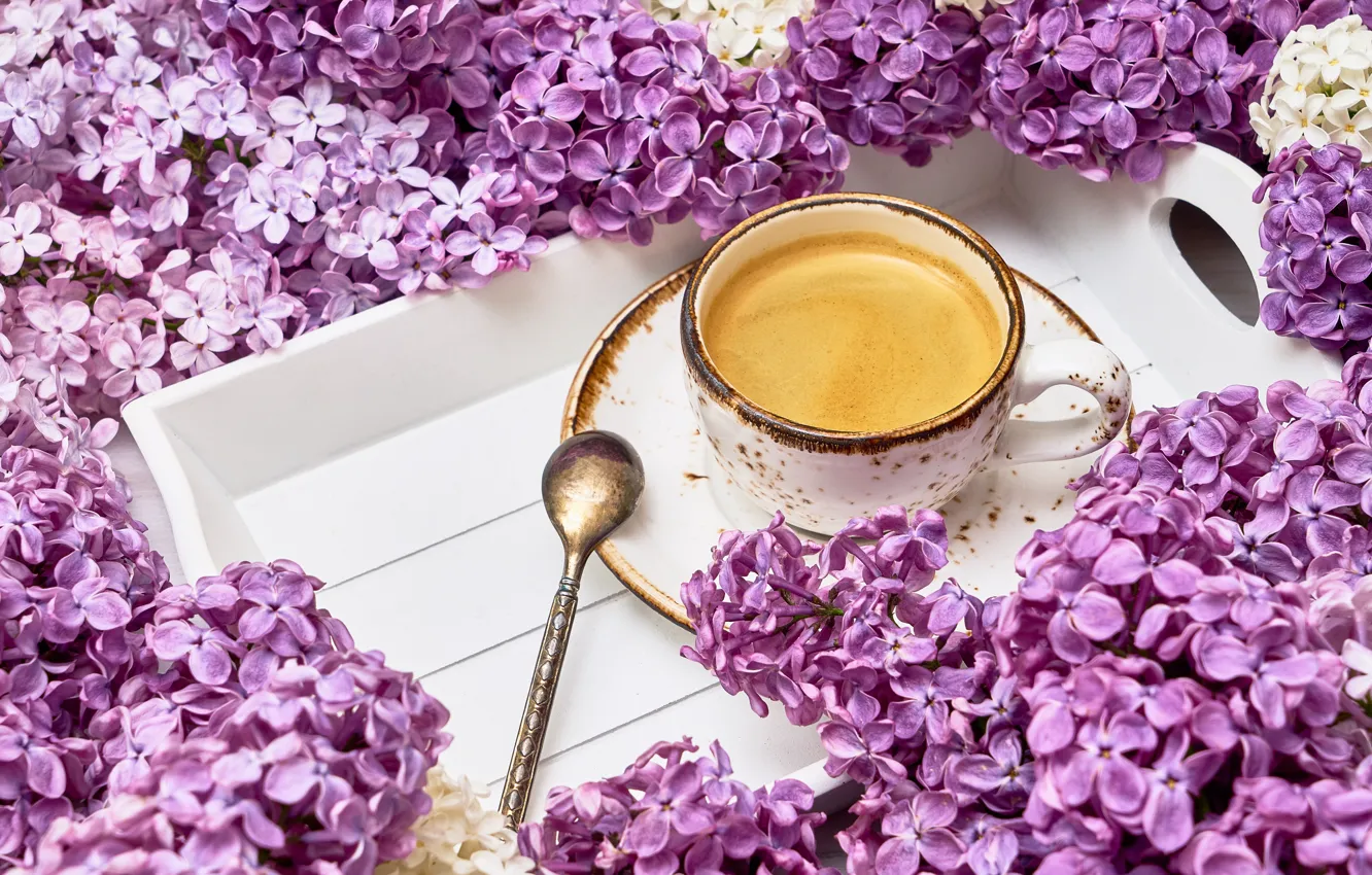 Фото обои цветы, чай, напиток, сирень