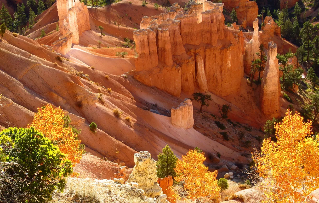 Фото обои осень, Юта, USA, США, Брайс-Каньон, autumn, Utah, Bryce Canyon