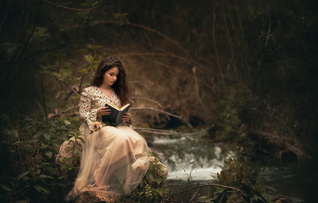 Фото обои лес, девушка, книга, чтение, Carmen Gabaldon