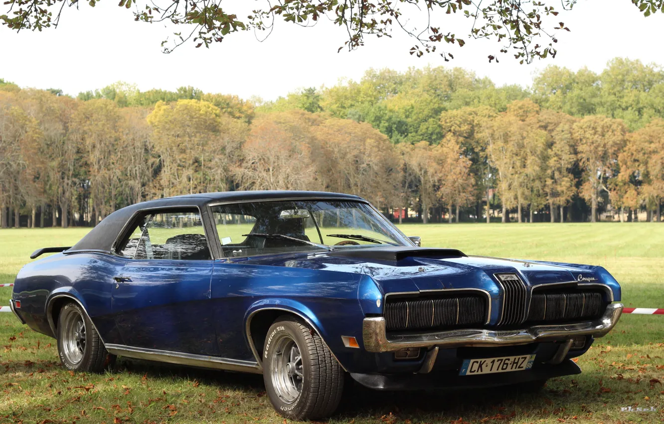 Фото обои Cougar, 1967, 1970, Mercury