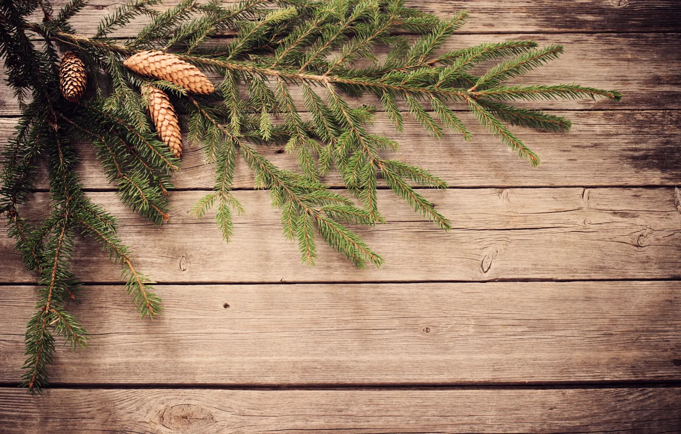 Фото обои украшения, веточка, елка, Christmas, шишки, decoration, Merry, Рождество. Новый Год