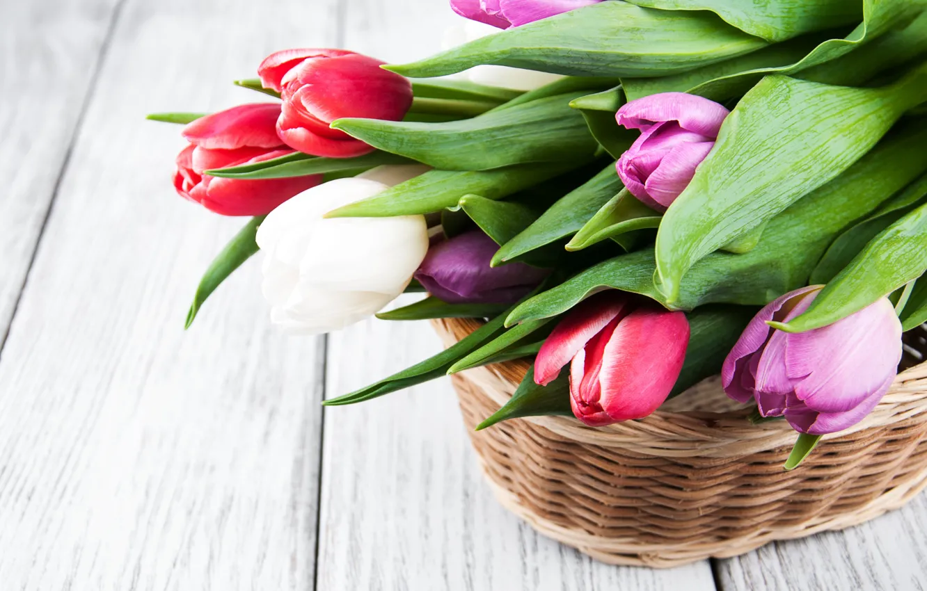Фото обои цветы, букет, colorful, тюльпаны, wood, pink, flowers, tulips