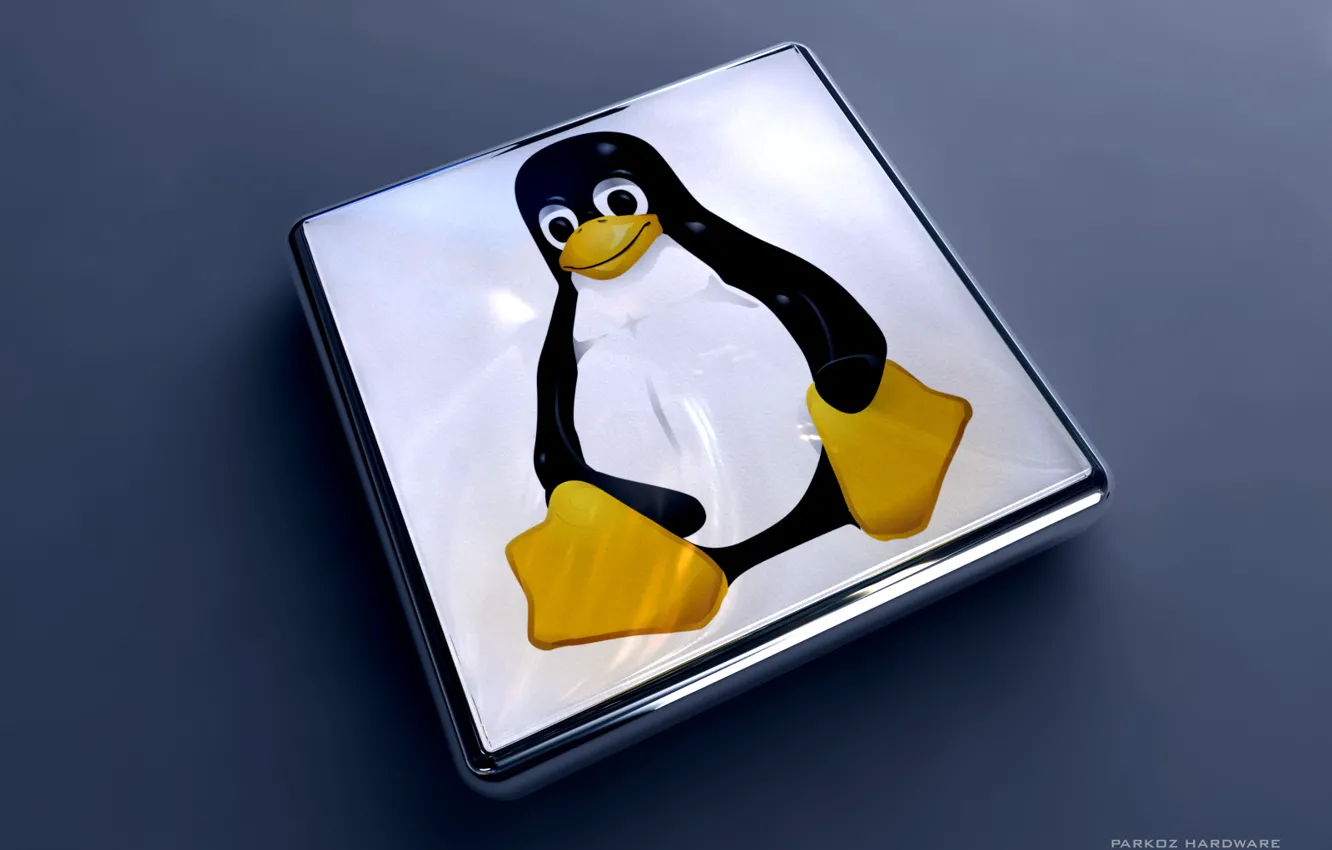 Фото обои пингвин, linux, Tux