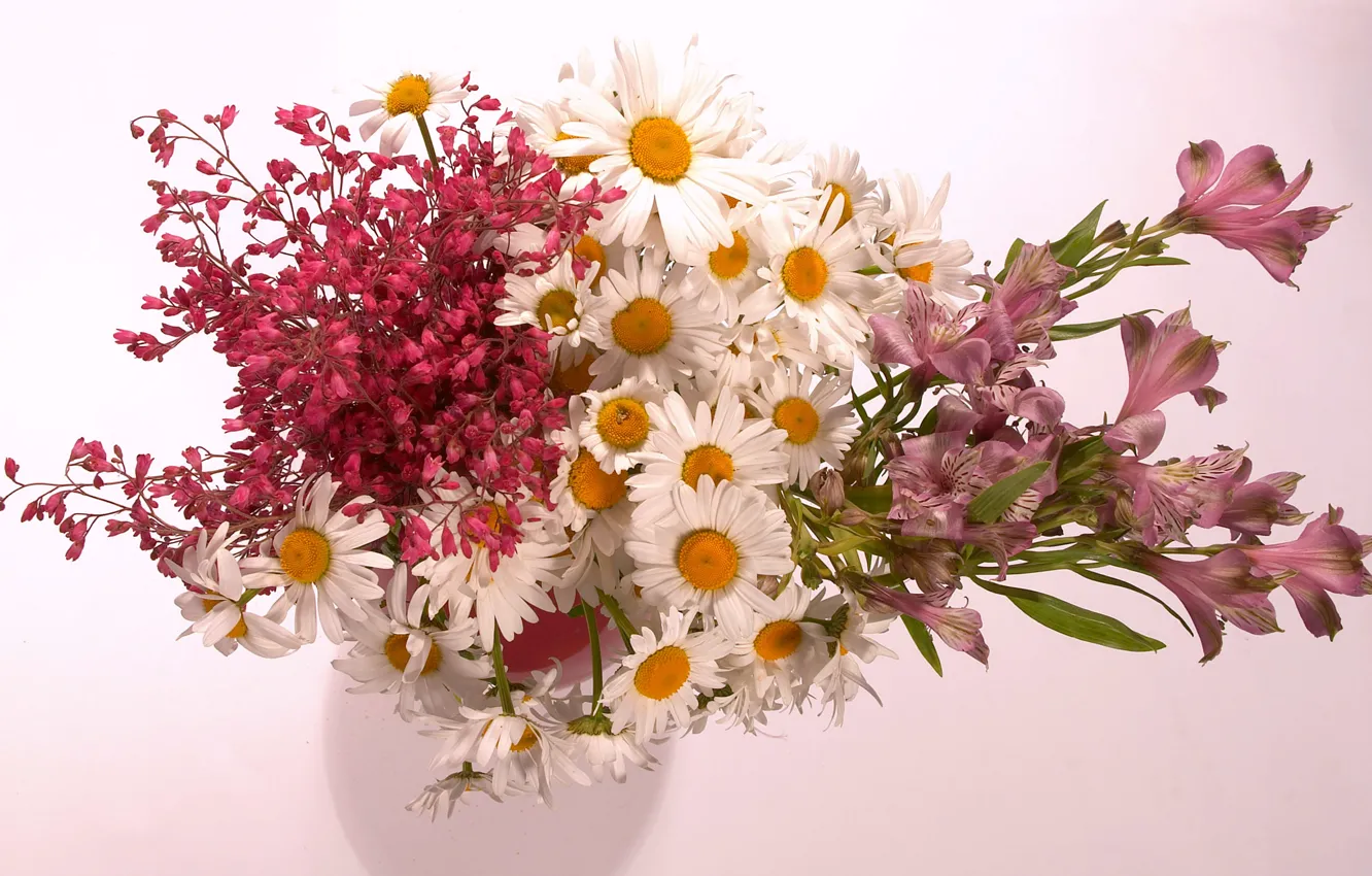 Фото обои обои, ромашки, букет, ваза