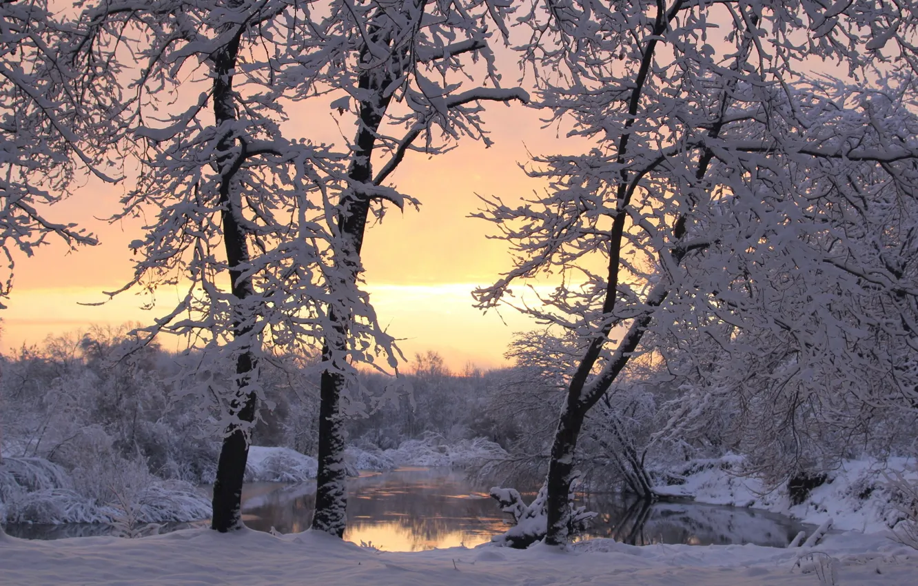 Фото обои зима, снег, деревья, закат