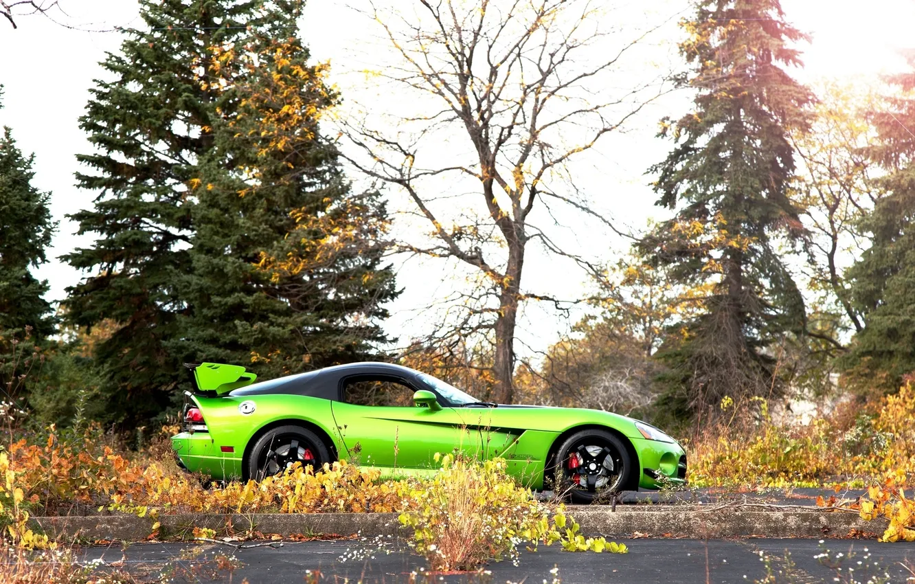 Фото обои чёрные, green, профиль, зелёный, Dodge, диски, black, Viper