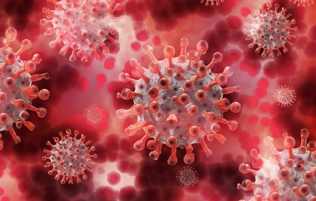 Фото обои рендеринг, инфекция, розовый фон, много, летают, вирусы, коронавирус, ковид-19
