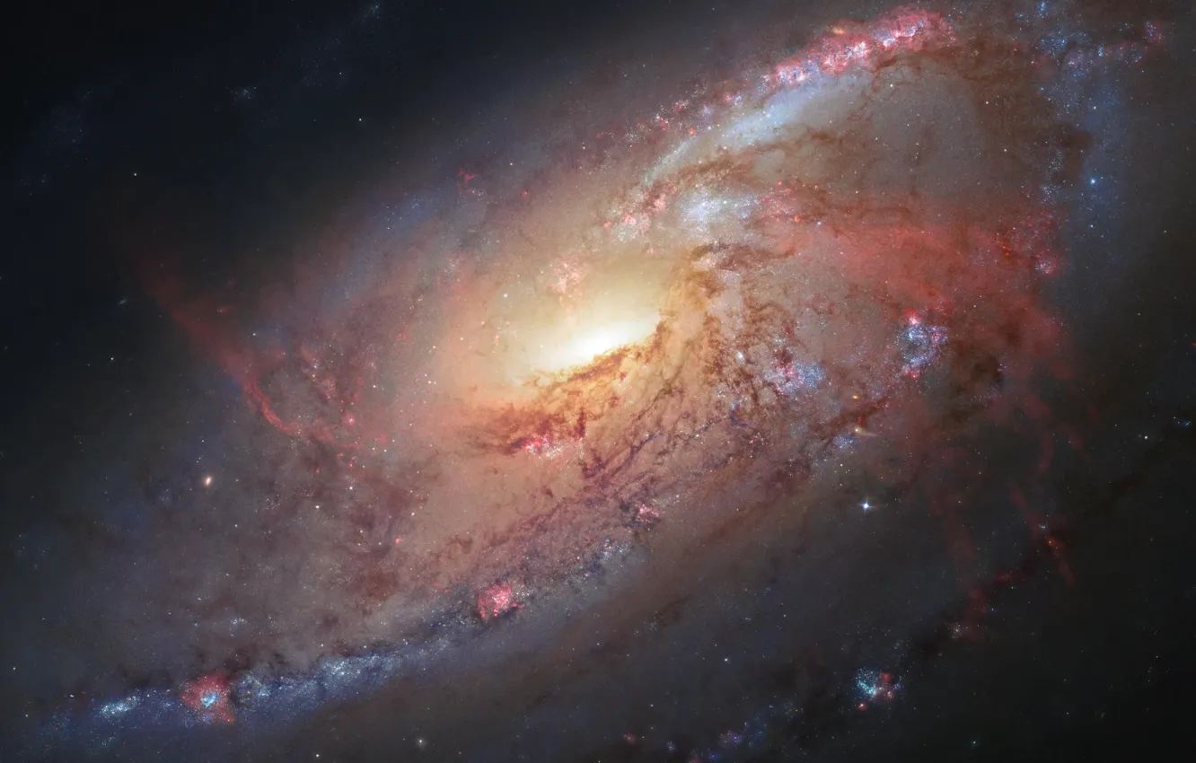 Фото обои космос, звезды, M106, Hubble Space Telescope, NASA Goddard Space Flight Center, Спиральная галактика