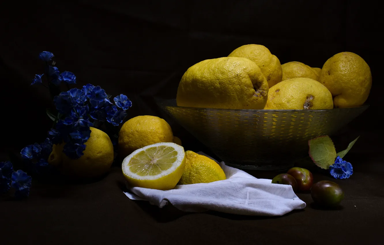 Фото обои цветы, темный фон, миска, фрукты, натюрморт, сливы, синие, лимоны