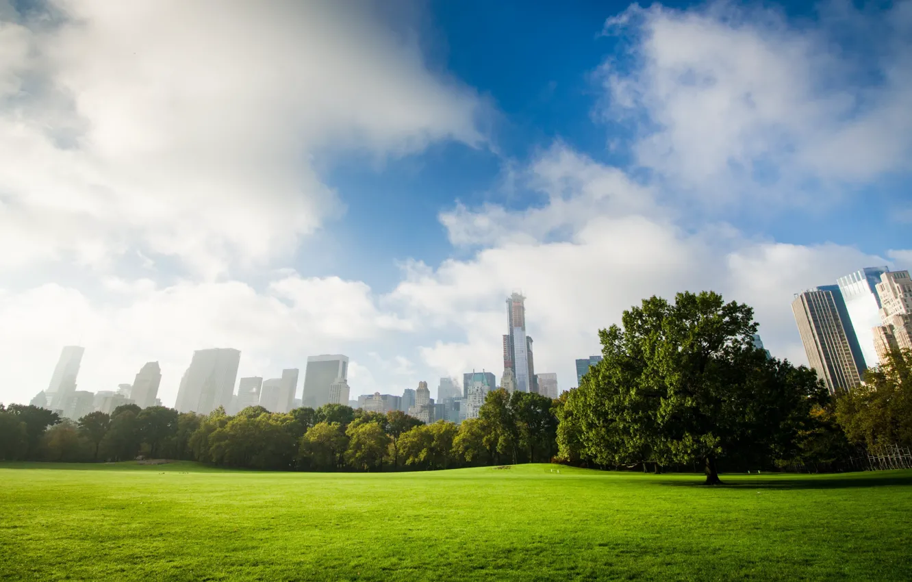 Фото обои небо, облака, деревья, Нью-Йорк, США, лужайка, Центральный парк