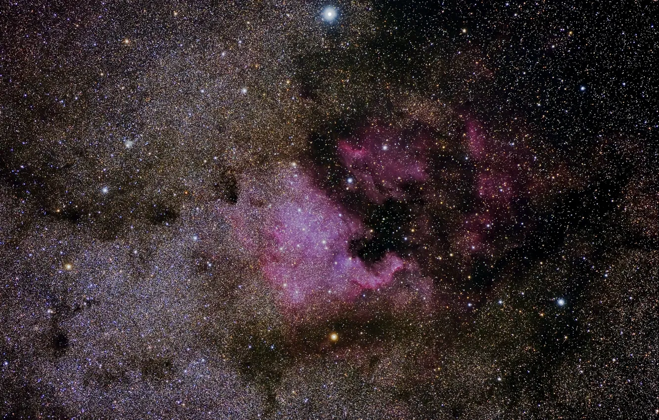 Фото обои звезды, Туманность, Северная Америка, в созвездии Лебедь