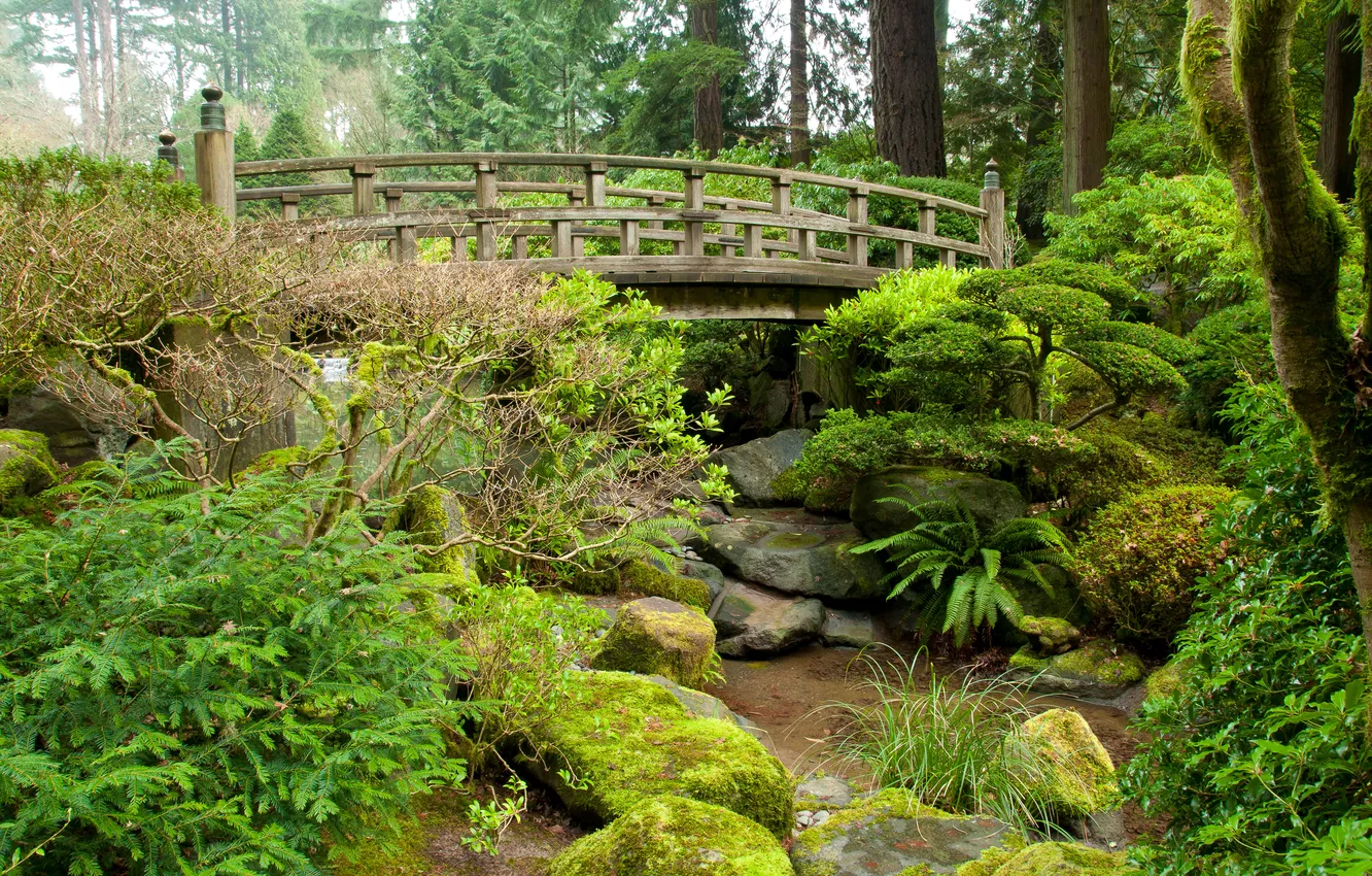 Фото обои зелень, трава, деревья, мост, парк, ручей, камни, мох