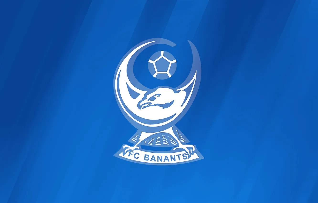 Фото обои логотип, эмблема, Armenia, Армения, Армянская Премьер-лига, Armenian Premier League, Бананц, FC Banants