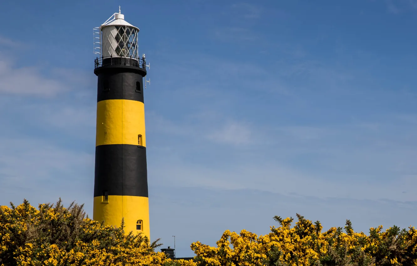 Фото обои побережье, маяк, Ирландия, Bumble Bee Lighthouse