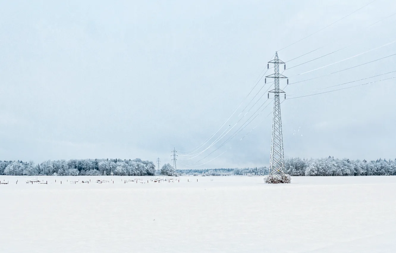 Фото обои winter, snow, freeze, cloudy, frost, woodland, power line, snowing