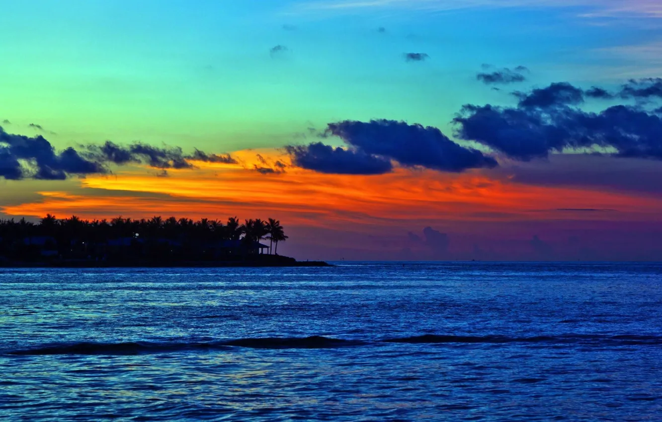 Фото обои пальмы, океан, вечер