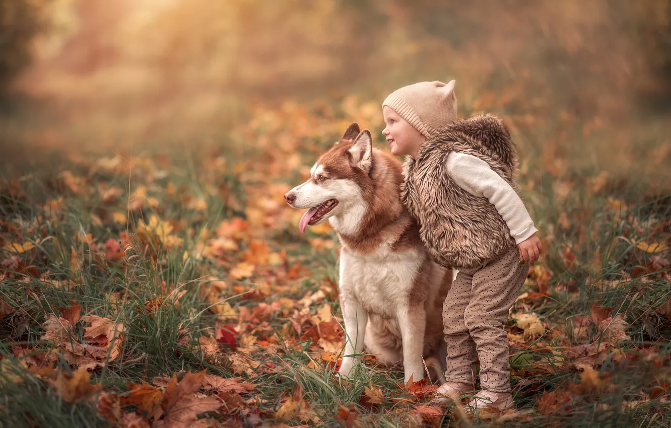 Фото обои осень, собака, девочка, друзья, хаски, опавшие листья, Марта Козел