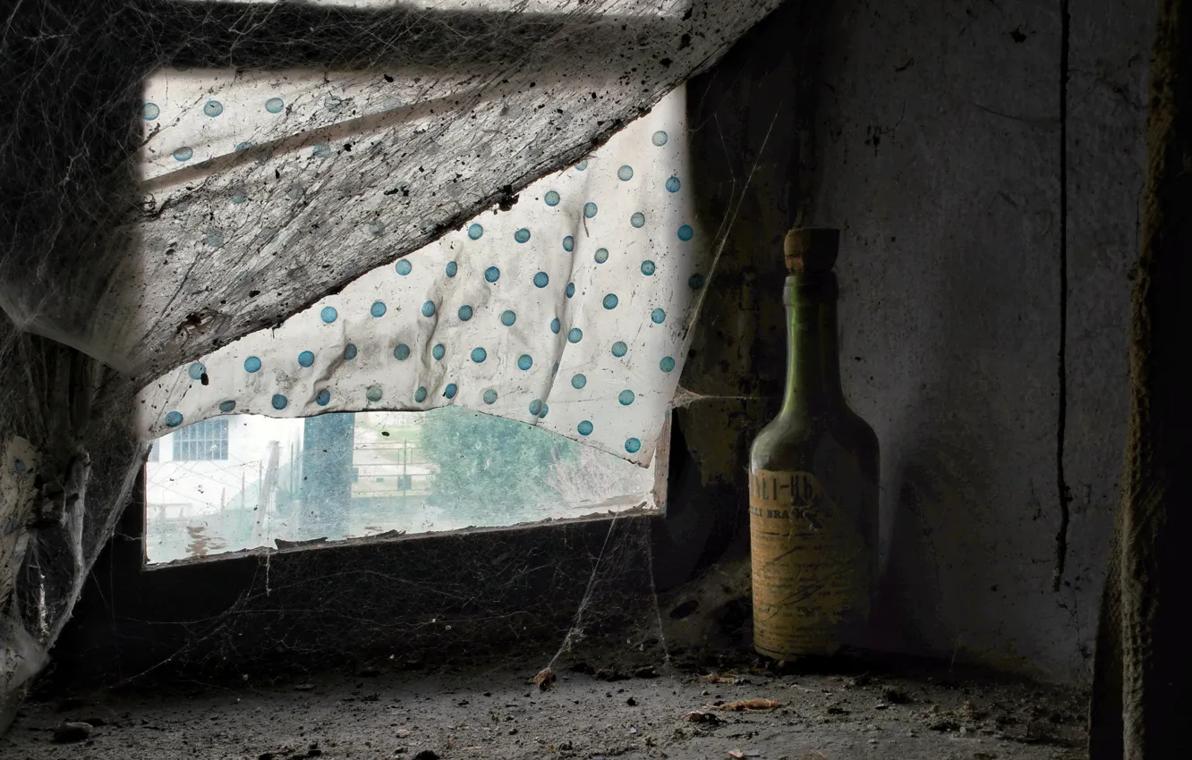 Фото обои бутылка, паутина, окно, натурализм