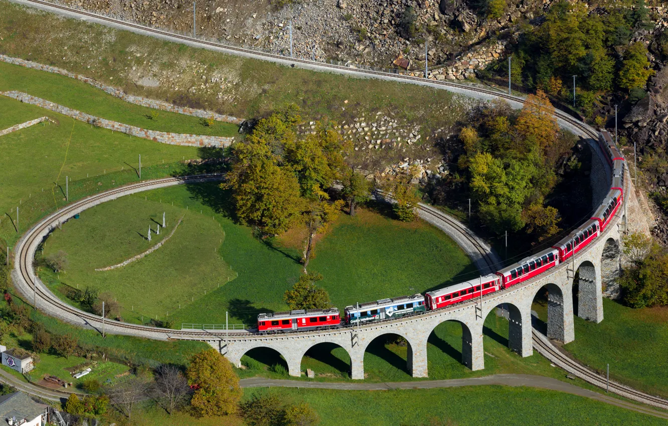 Фото обои Дерево, Швейцария, Поезд, Виадук, Спиральный виадук, Брусио, Спиральный виадук в Брусио