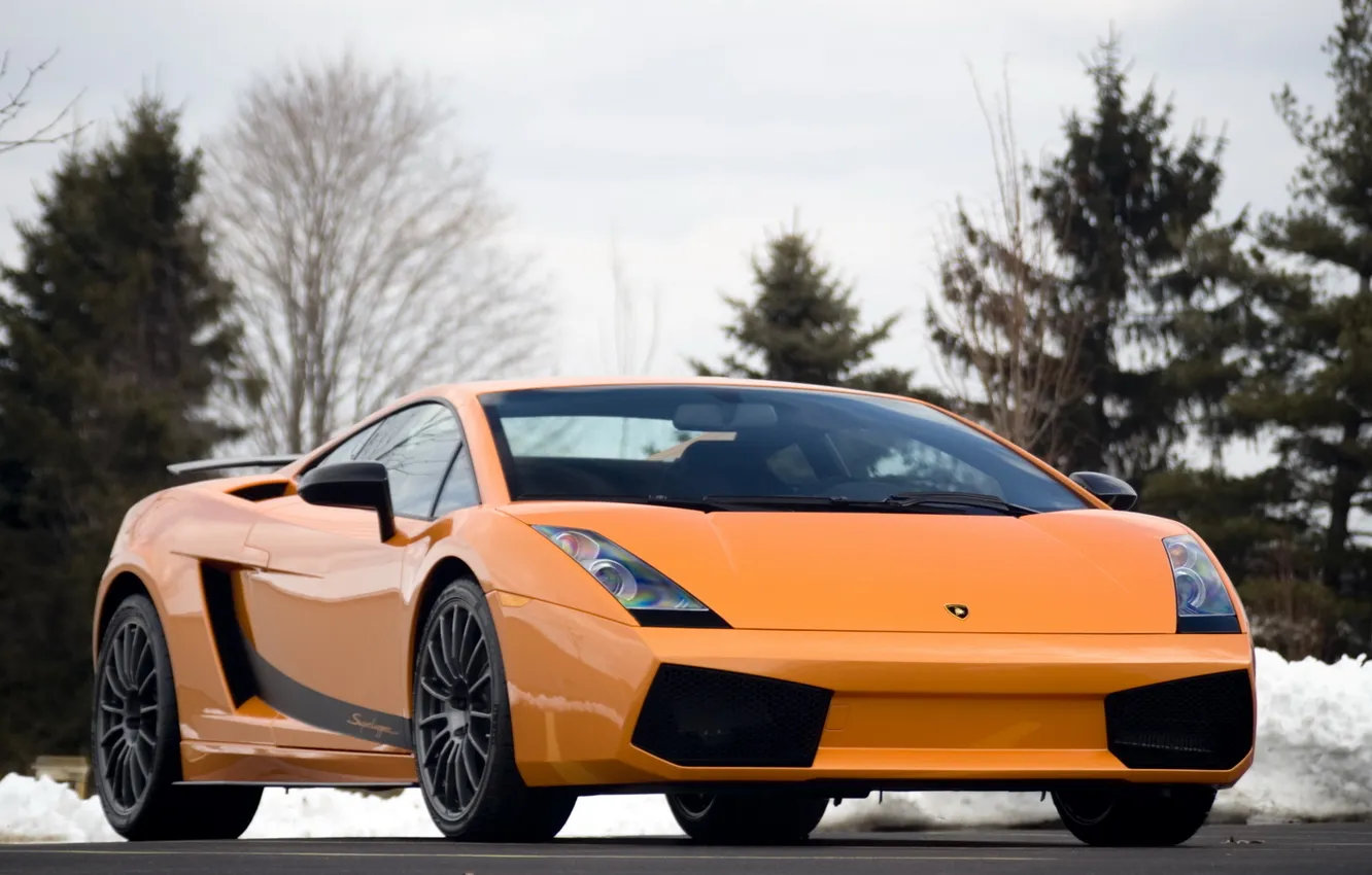 Фото обои оранжевый, ели, суперкар, supercar, вид спереди, orange, ламборгини, lamborghini gallardo superleggera