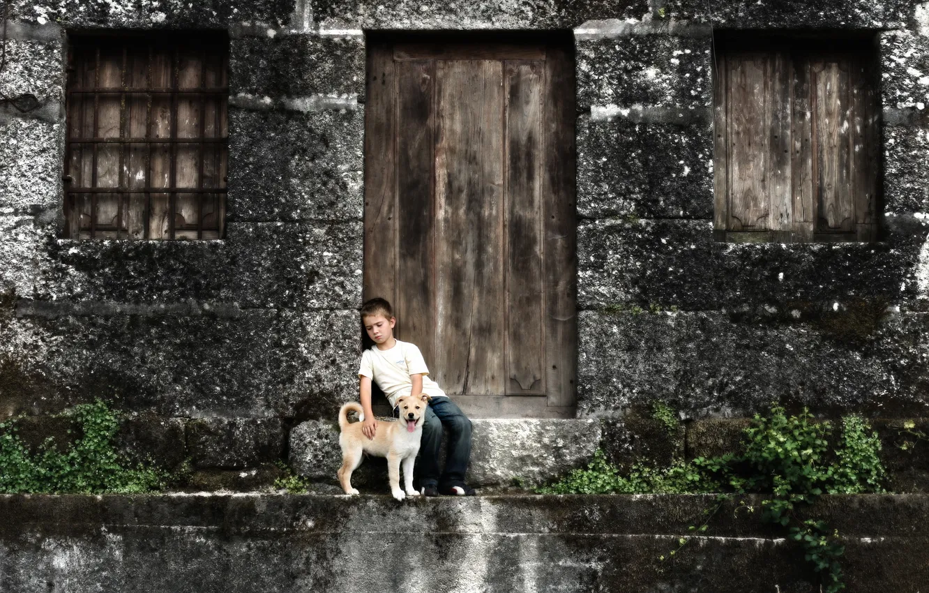 Фото обои дом, настроение, собака, мальчик