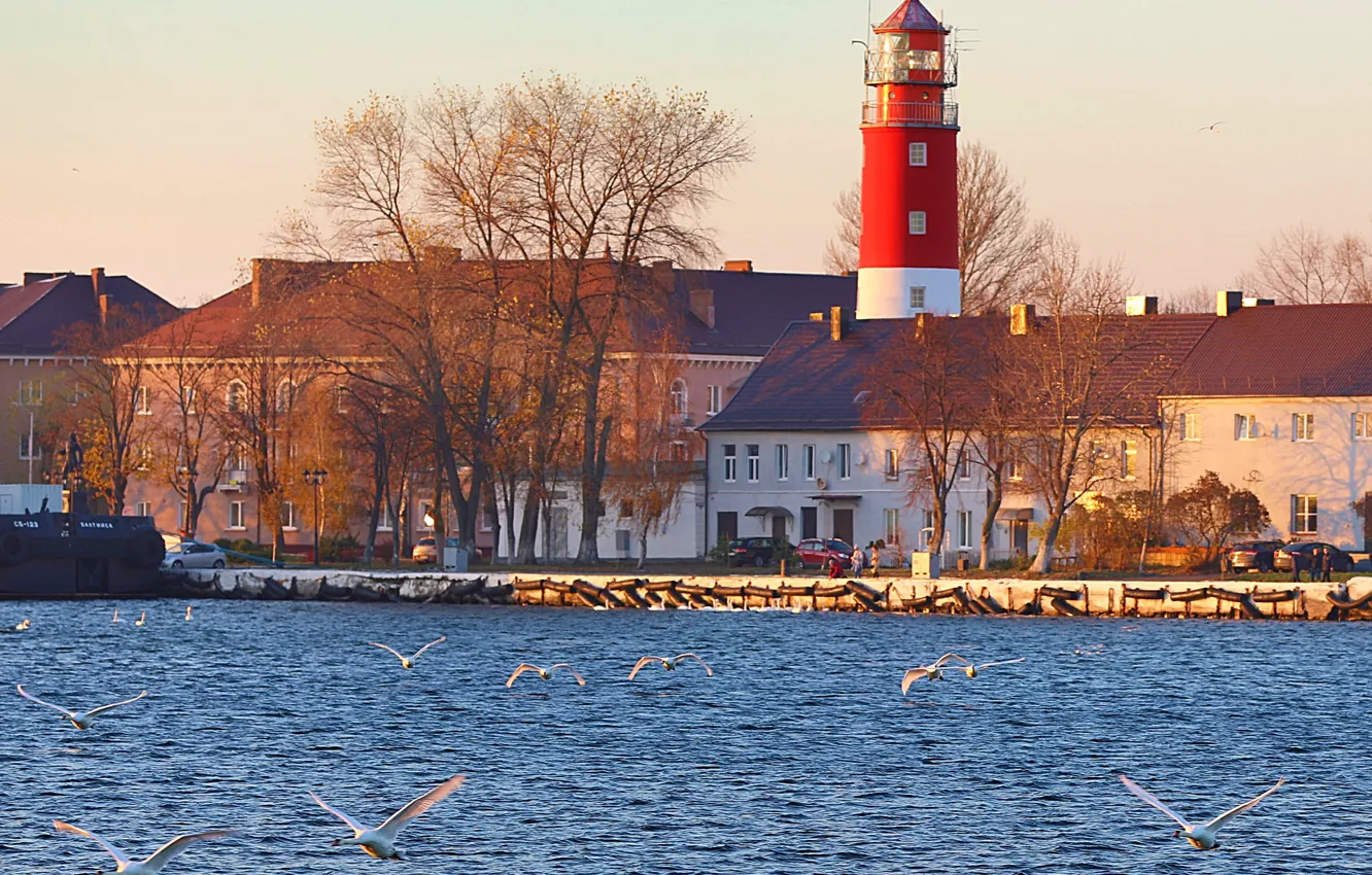 Фото обои море, люди, маяк, лебеди, Балтийск